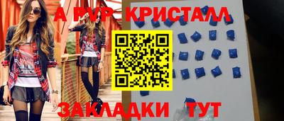 прущие грибы Гатчина