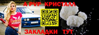 прущие грибы Гатчина
