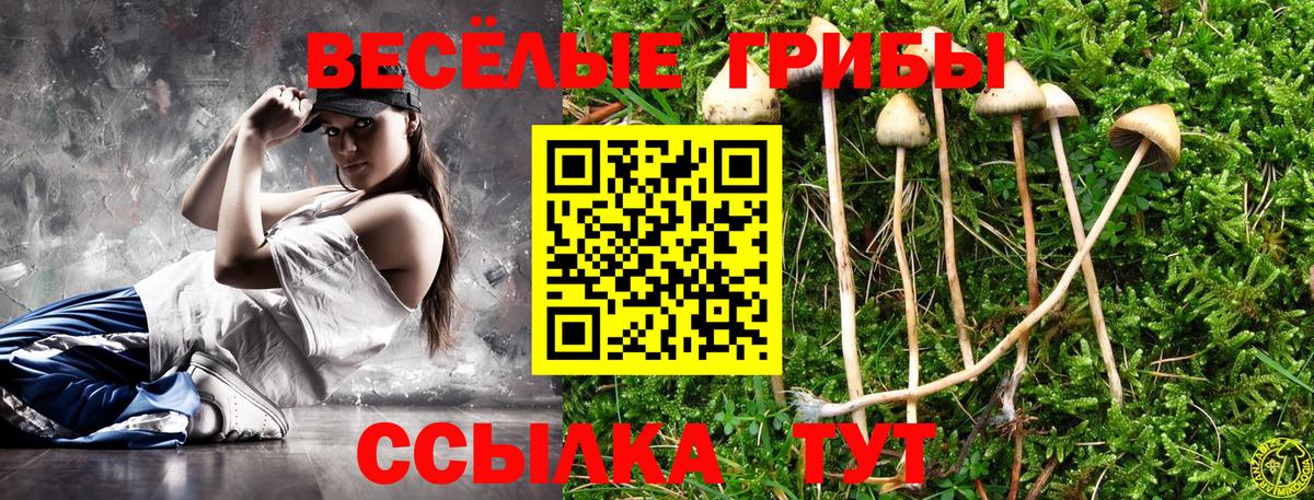 Псилоцибиновые грибы MAGIC MUSHROOMS Киреевск